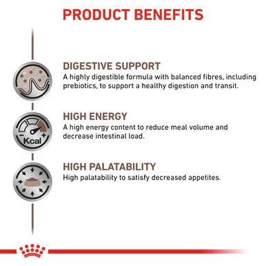 Royal Canin Gastrointestinal Adult Wet Dog Food