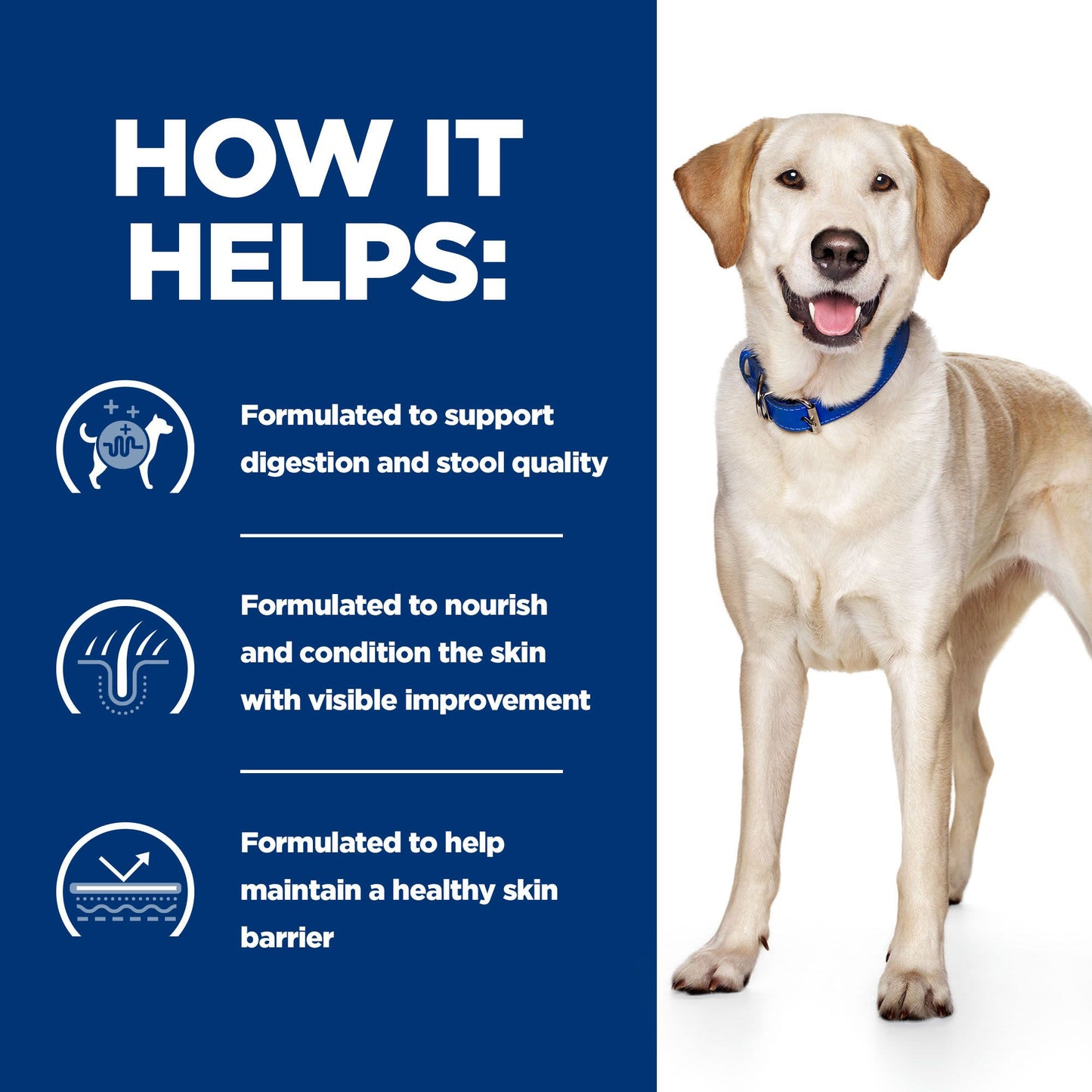 Hill's Prescription Diet Food Sensitivities d/d Dry Dog Food - Duck & Rice