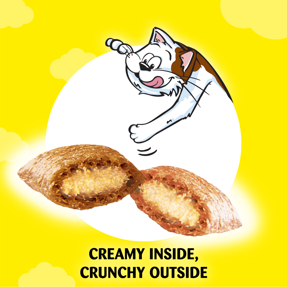 Dreamies Mix Salmon Flavour & Cheese Cat Treats