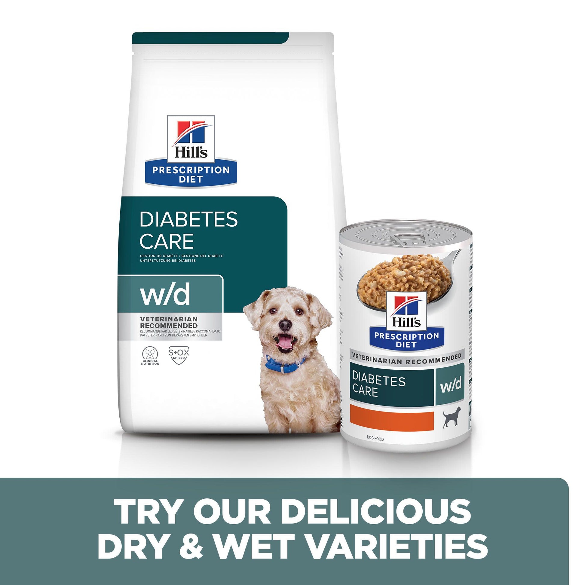 Diabetic Diet for Dogs: Tailored Nutrition Tips