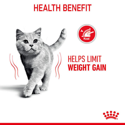 Royal Canin Ultra Light Weight Care Adult Cat Wet Food - Jelly