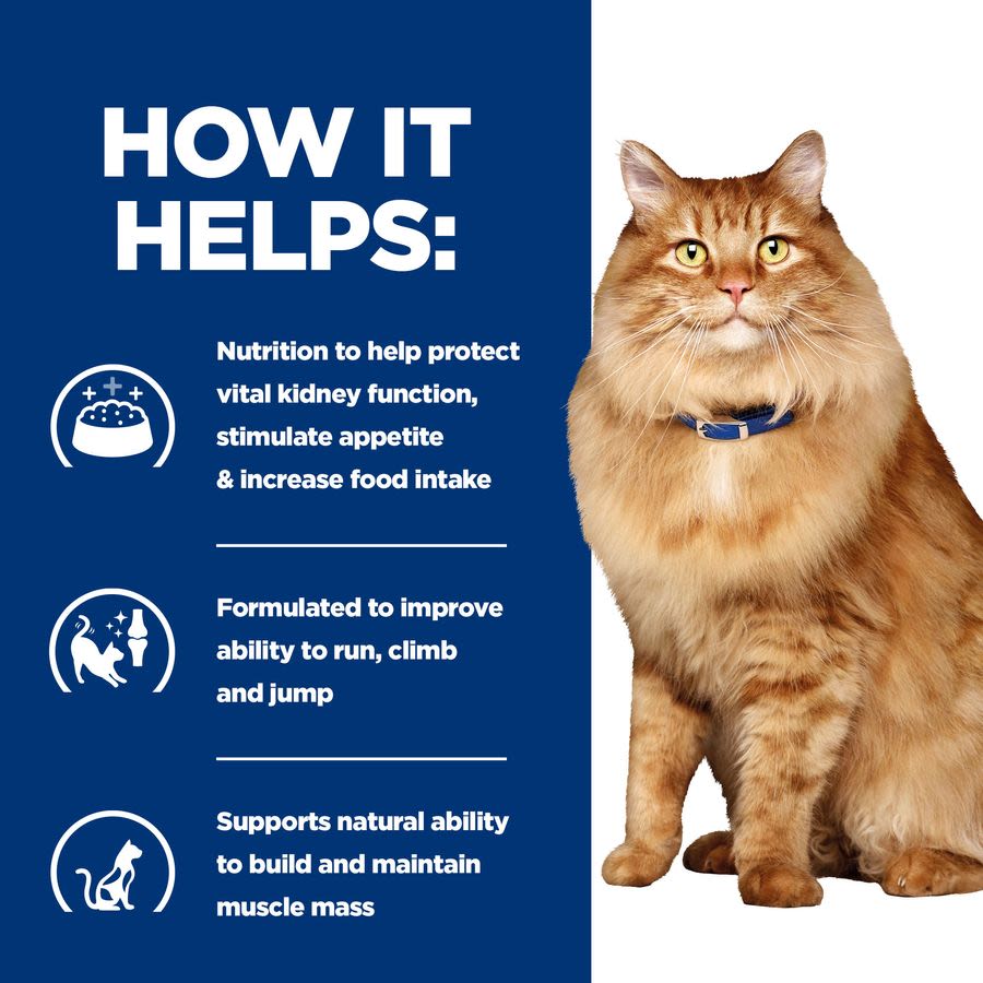 Hill's Prescription Diet Kidney k/d + Mobility Joint Care Dry Cat Food - Chicken