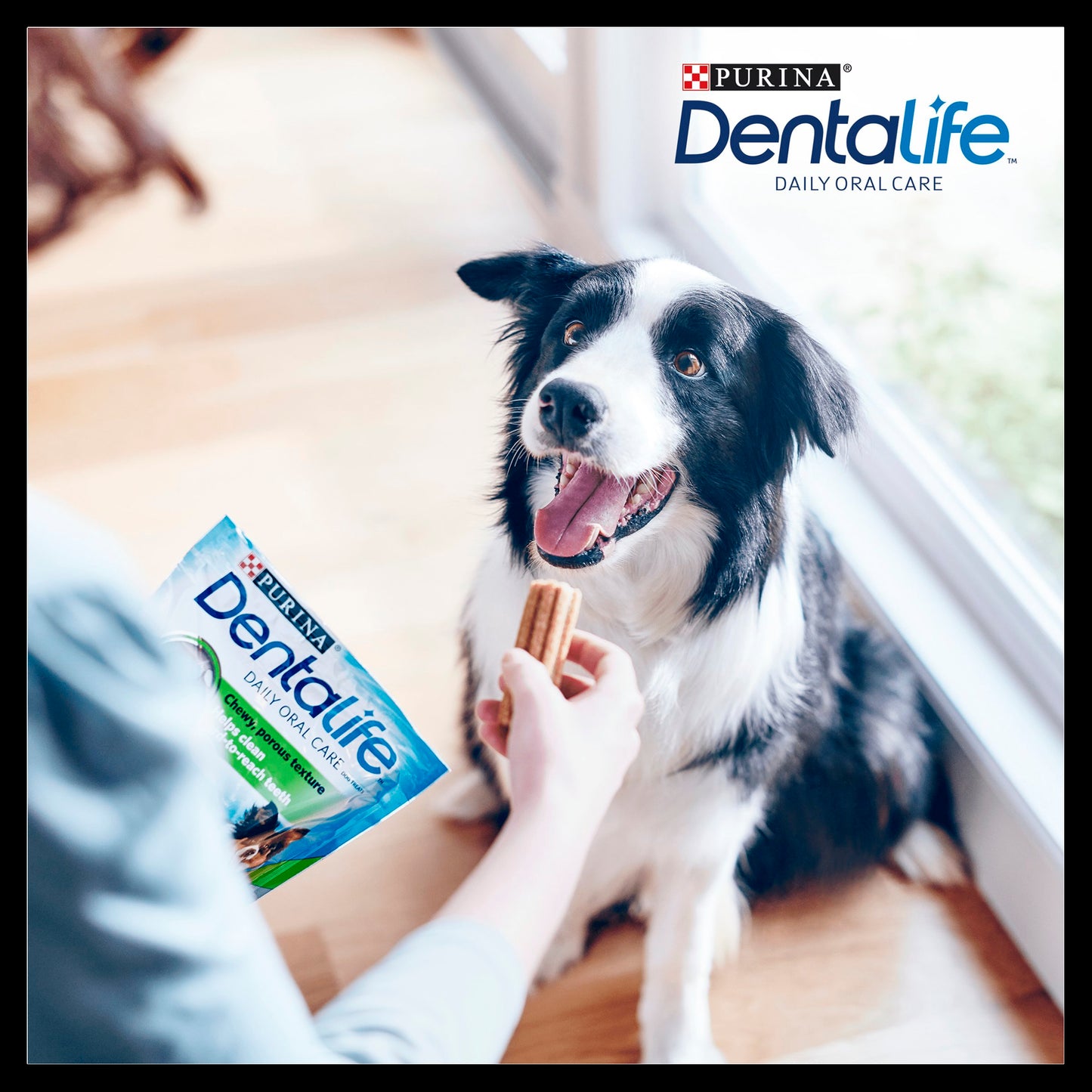 Purina Dentalife Daily Medium Dog Chews Treat