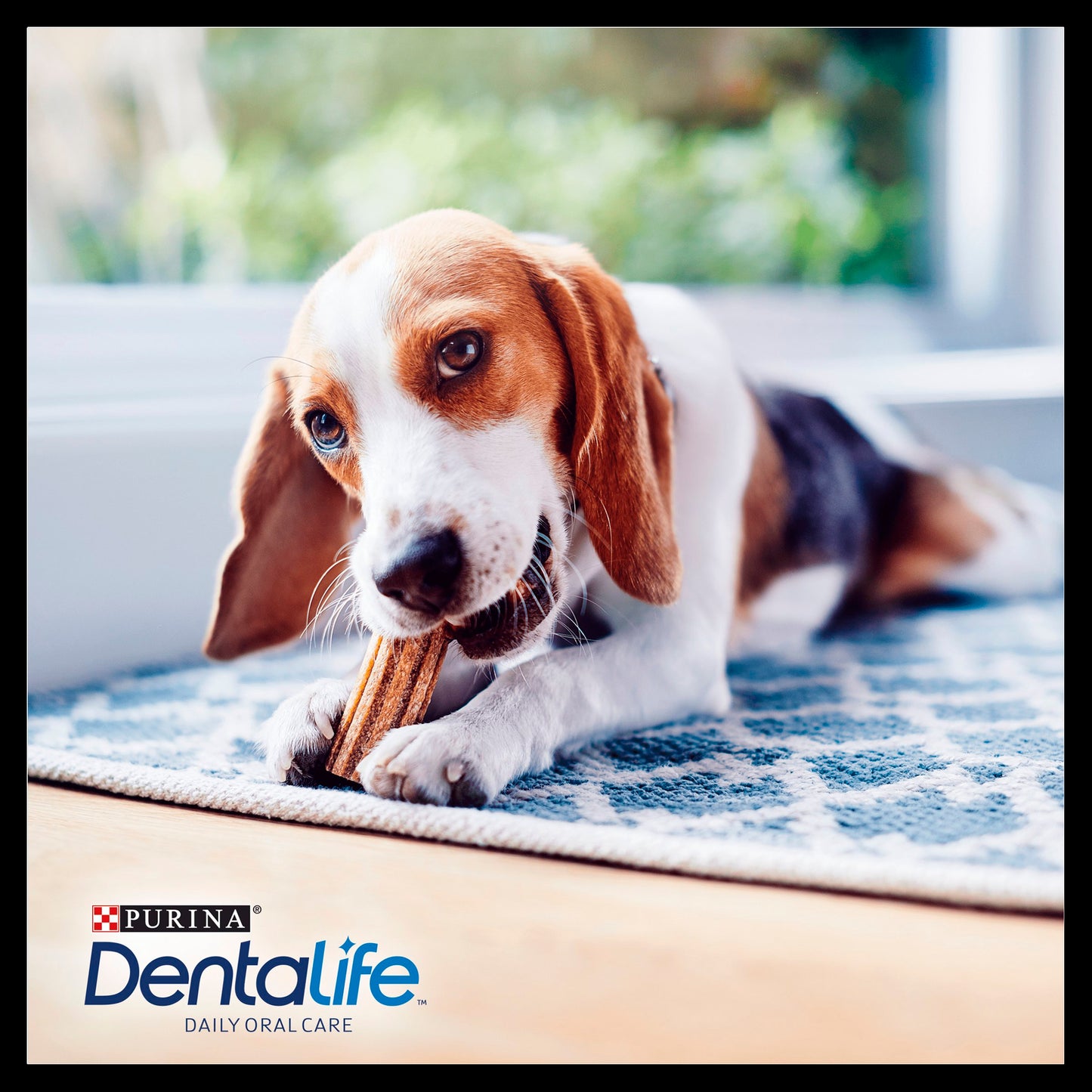 Purina Dentalife Daily Small Dog Chews Treat