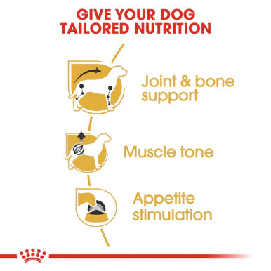 Royal Canin Dachshund Adult Wet Dog Food