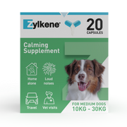 Zylkene Calming Supplement for Dogs - 10-30kg - 20 Capsules