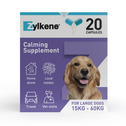 Zylkene Calming Supplement for Dogs - 30-60kg - 20 Capsules