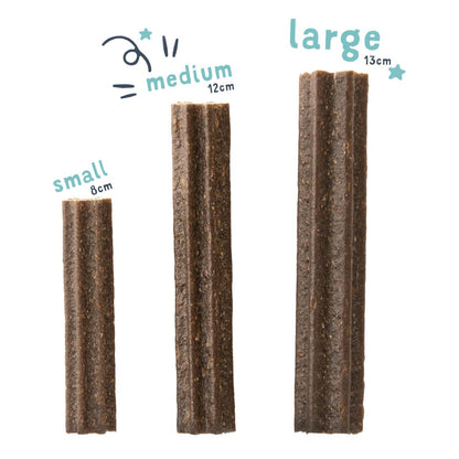 Edgard & Cooper Apple & Eucalyptus Medium Doggy Dental Treat