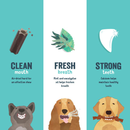 Edgard & Cooper Apple & Eucalyptus Large Doggy Dental Treat