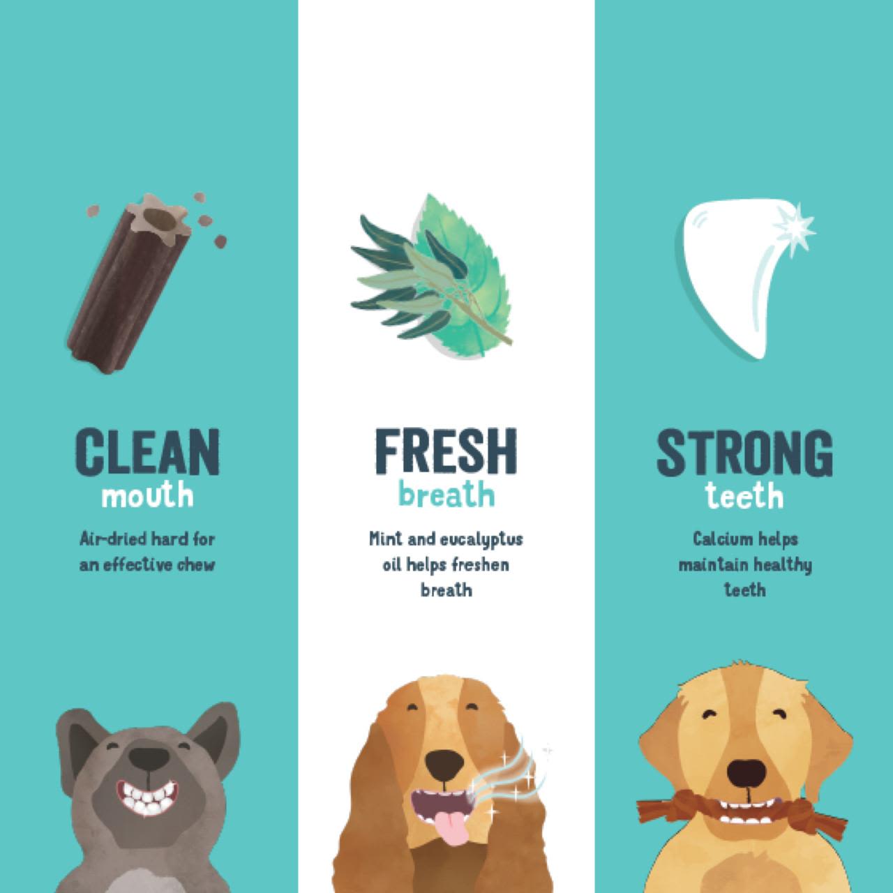 Edgard & Cooper Strawberry & Mint Medium Doggy Dental Treat