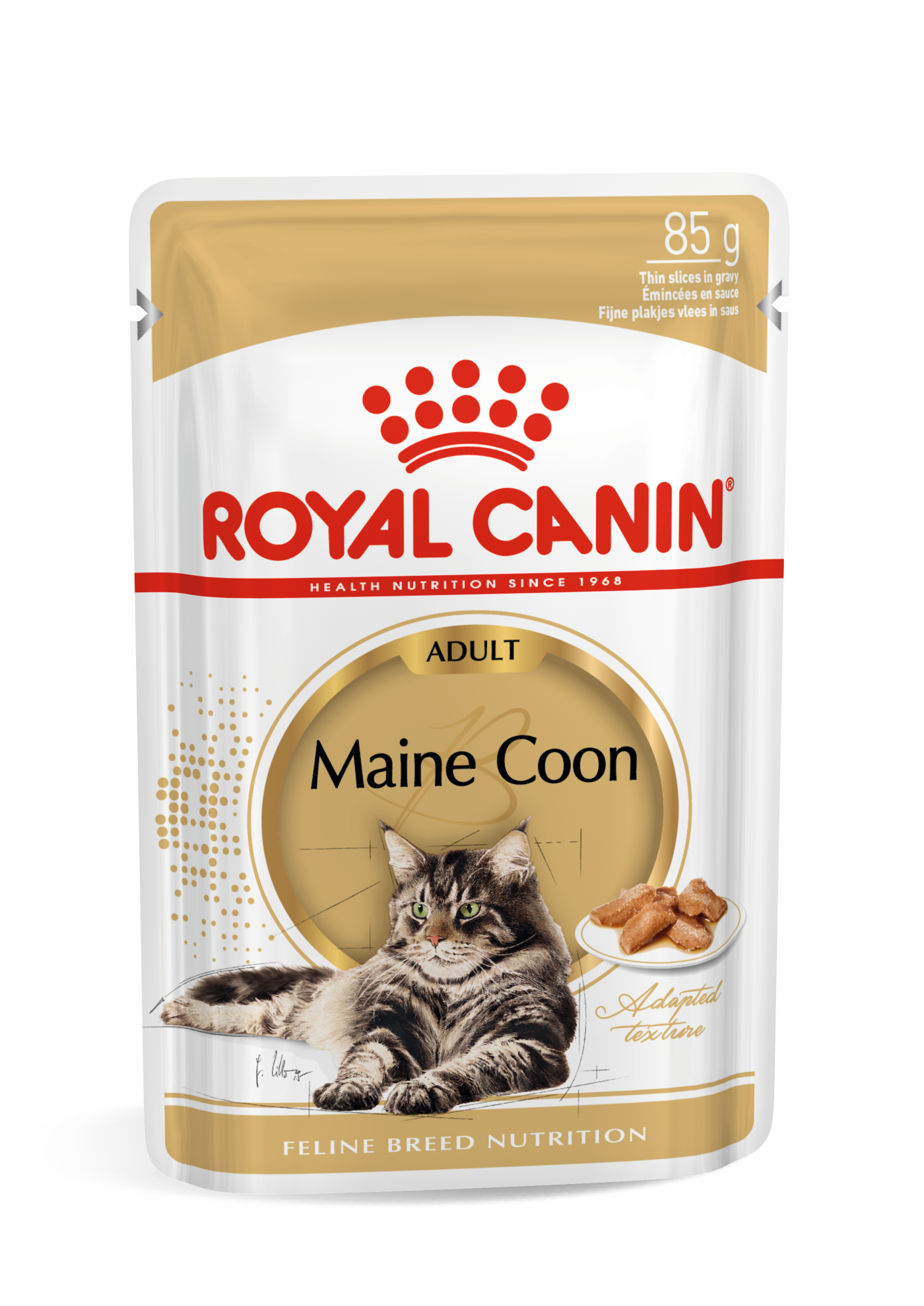 Royal Canin Royal Canin Maine Coon Adult Wet Cat Food pet food packaging