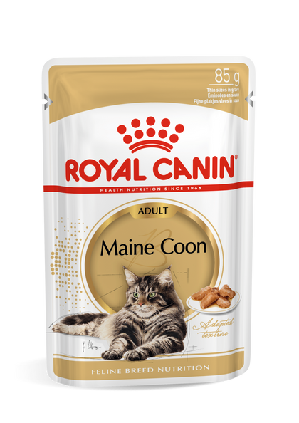 Royal Canin Maine Coon Adult Cat Wet Food in Gravy