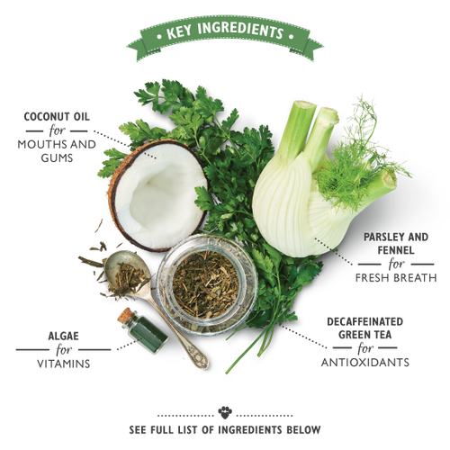 Lily's Kitchen Woofbrush Dental Chew Dog Treats