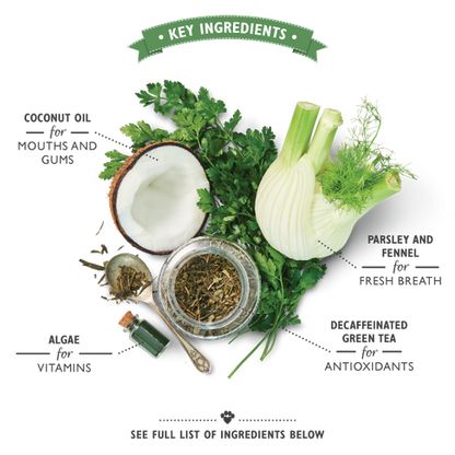 Lily's Kitchen Woofbrush Dental Chew Dog Treats