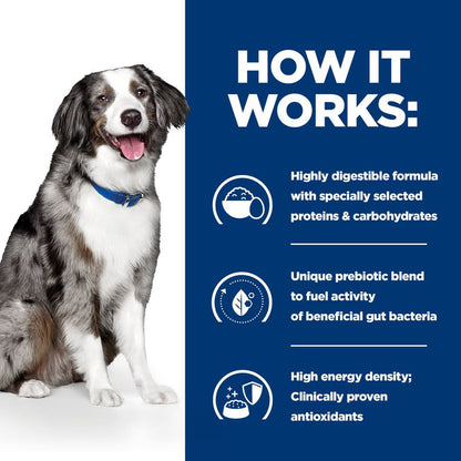 Hill's Prescription Diet Digestive Care i/d Sensitive Adult/Senior Dry Dog Food - Egg & Rice