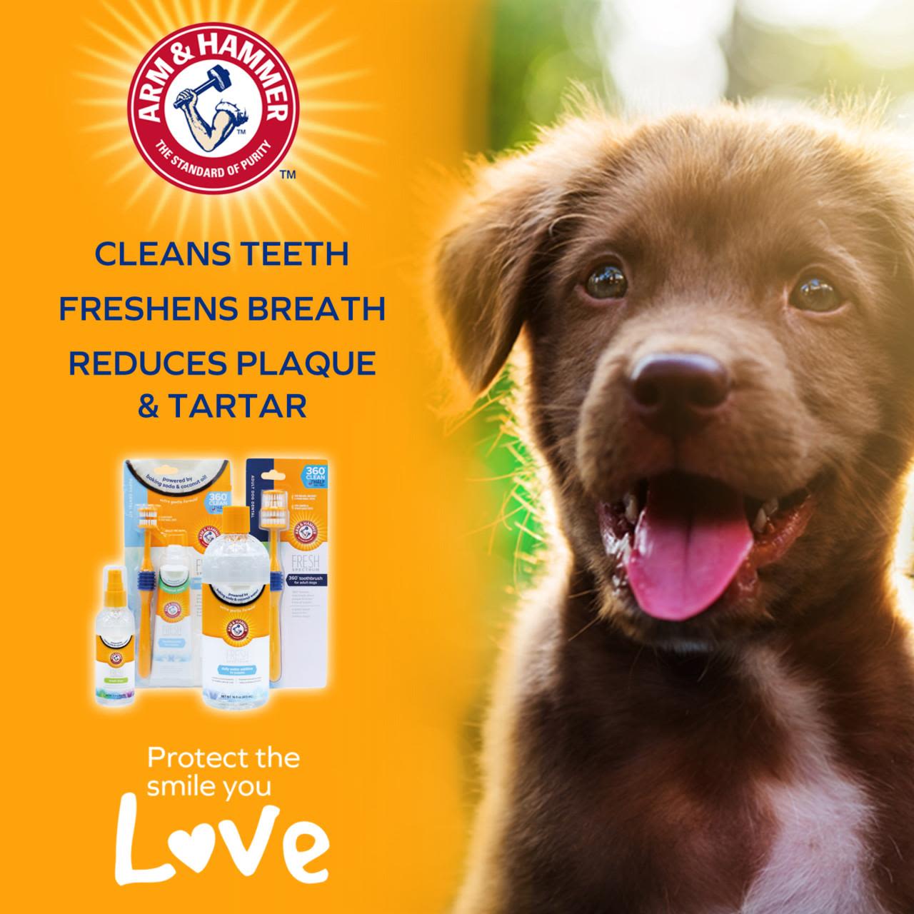 Arm & Hammer Fresh Coconut Mint Toothpaste Puppy