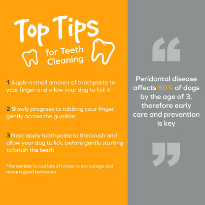 Arm & Hammer Fresh Coconut Mint Toothpaste Puppy