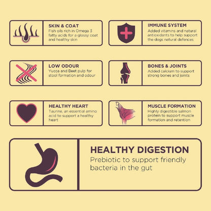 Burgess Sensitive Adult Hypoallergenic Turkey & Rice Dry Dog Food