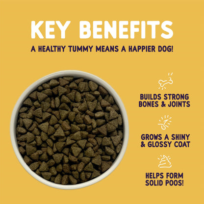 Burgess Sensitive Adult Hypoallergenic Turkey & Rice Dry Dog Food