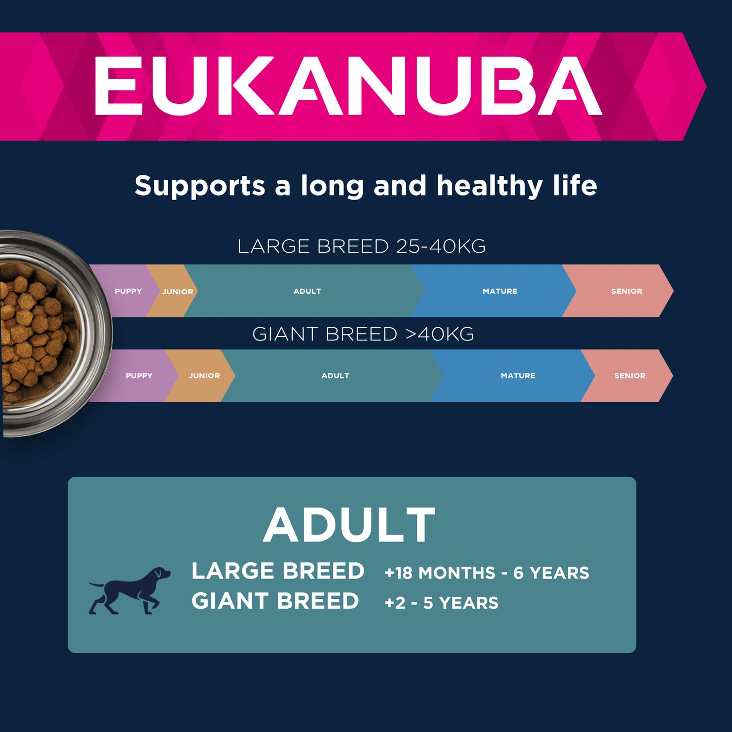 Eukanuba Adult All Breeds Salmon & Rice Dry Dog Food