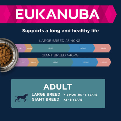 Eukanuba Adult All Breeds Salmon & Rice Dry Dog Food