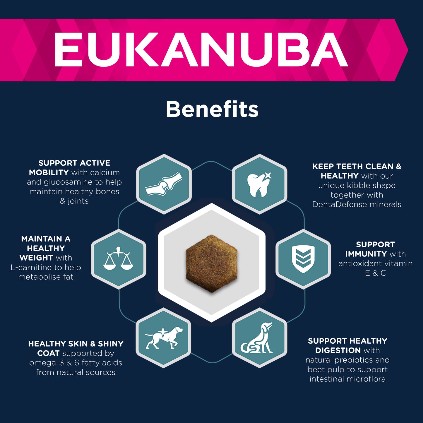 Eukanuba Adult All Breeds Salmon & Rice Dry Dog Food