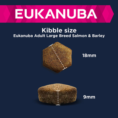 Eukanuba Adult All Breeds Salmon & Rice Dry Dog Food