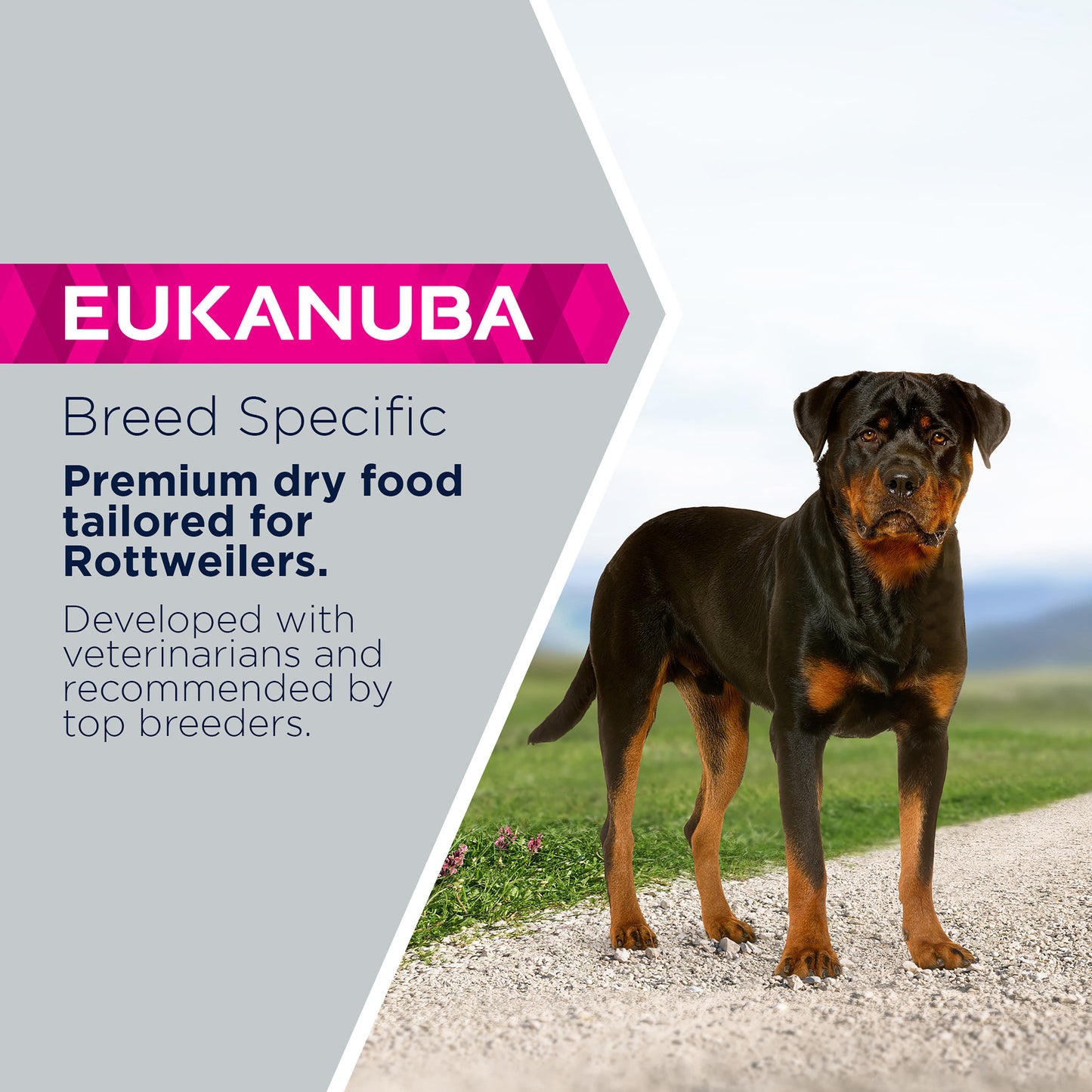 Eukanuba Breed Specific Adult Rottweiler Dry Dog Food