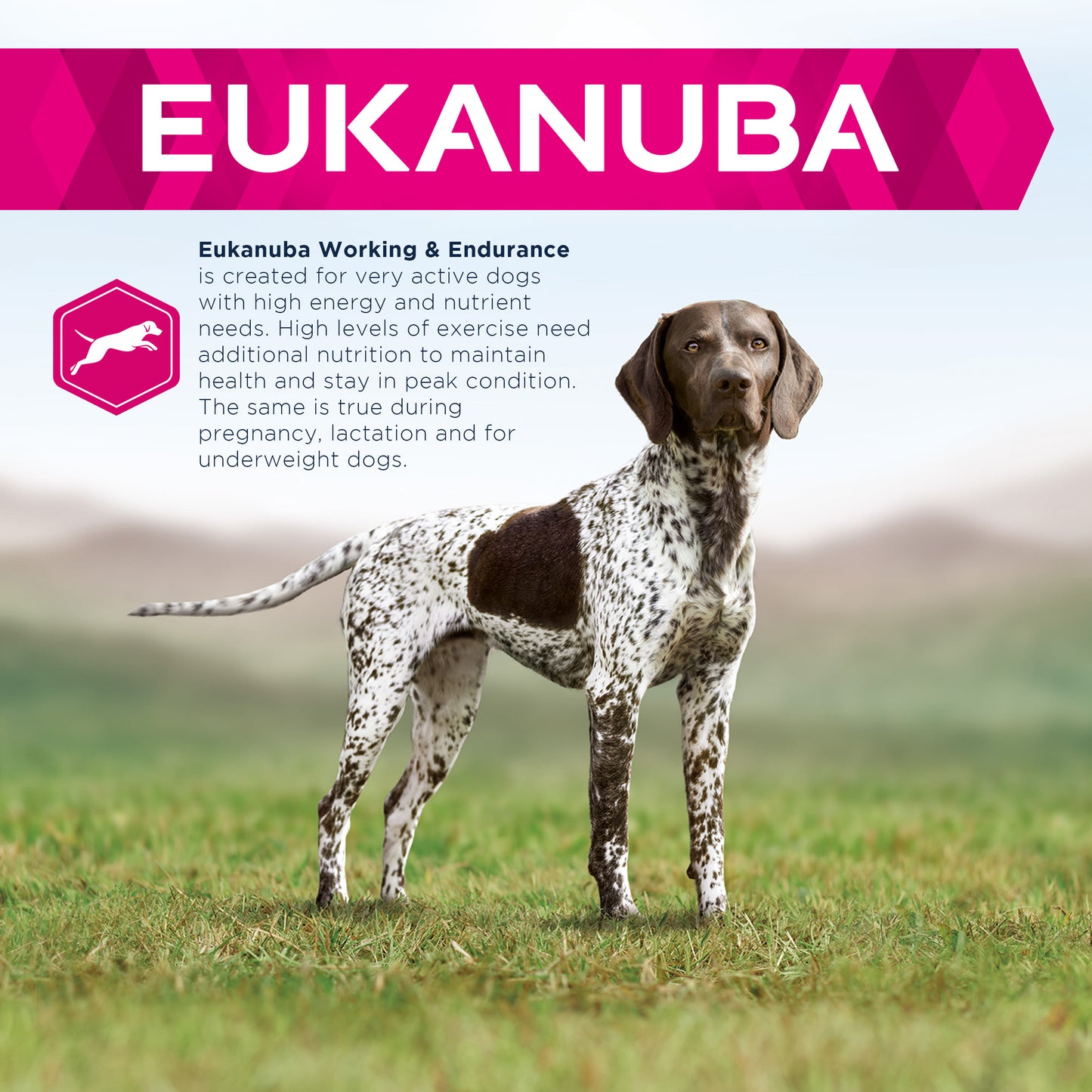Eukanuba Premium Working & Endurance Dry Dog Food