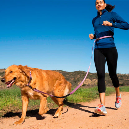 Halti All-In-One Black Dog Lead