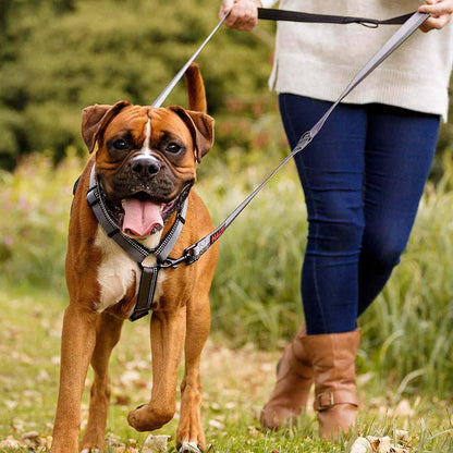 Halti Double Ended Dog Lead Black