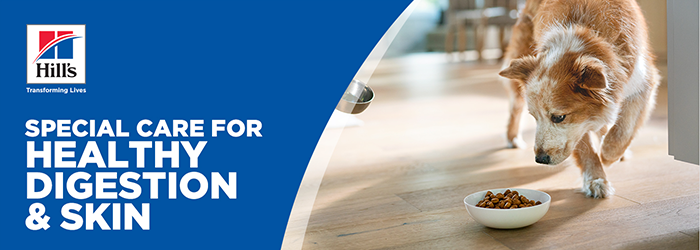 Hill's Science Plan Adult Medium Sensitive Stomach & Skin Chicken Dog Food