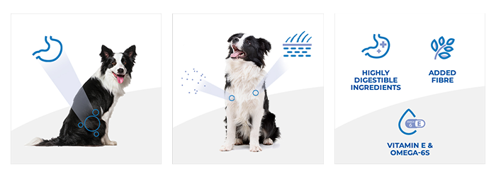 Hill's Science Plan Adult Medium Sensitive Stomach & Skin Chicken Dog Food