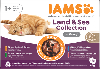 IAMS Iams Delights Land Collection Gravy Adult Wet pet food packaging