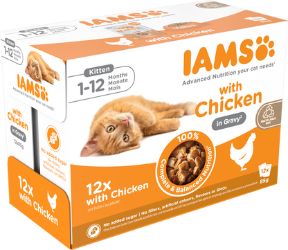 Iams Delights Kitten Chicken in Gravy Multipack