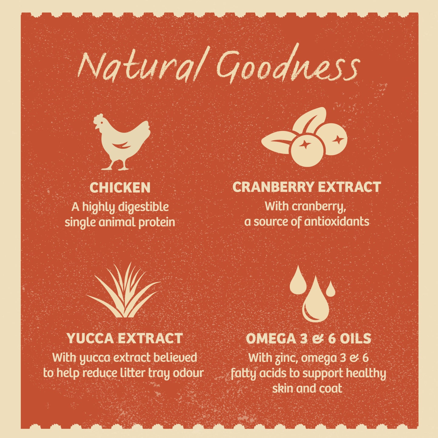 James Wellbeloved Grain Free Kitten Cat Food Pouch Chicken in Jelly