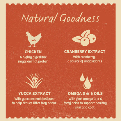 James Wellbeloved Grain Free Kitten Cat Food Pouch Chicken in Jelly