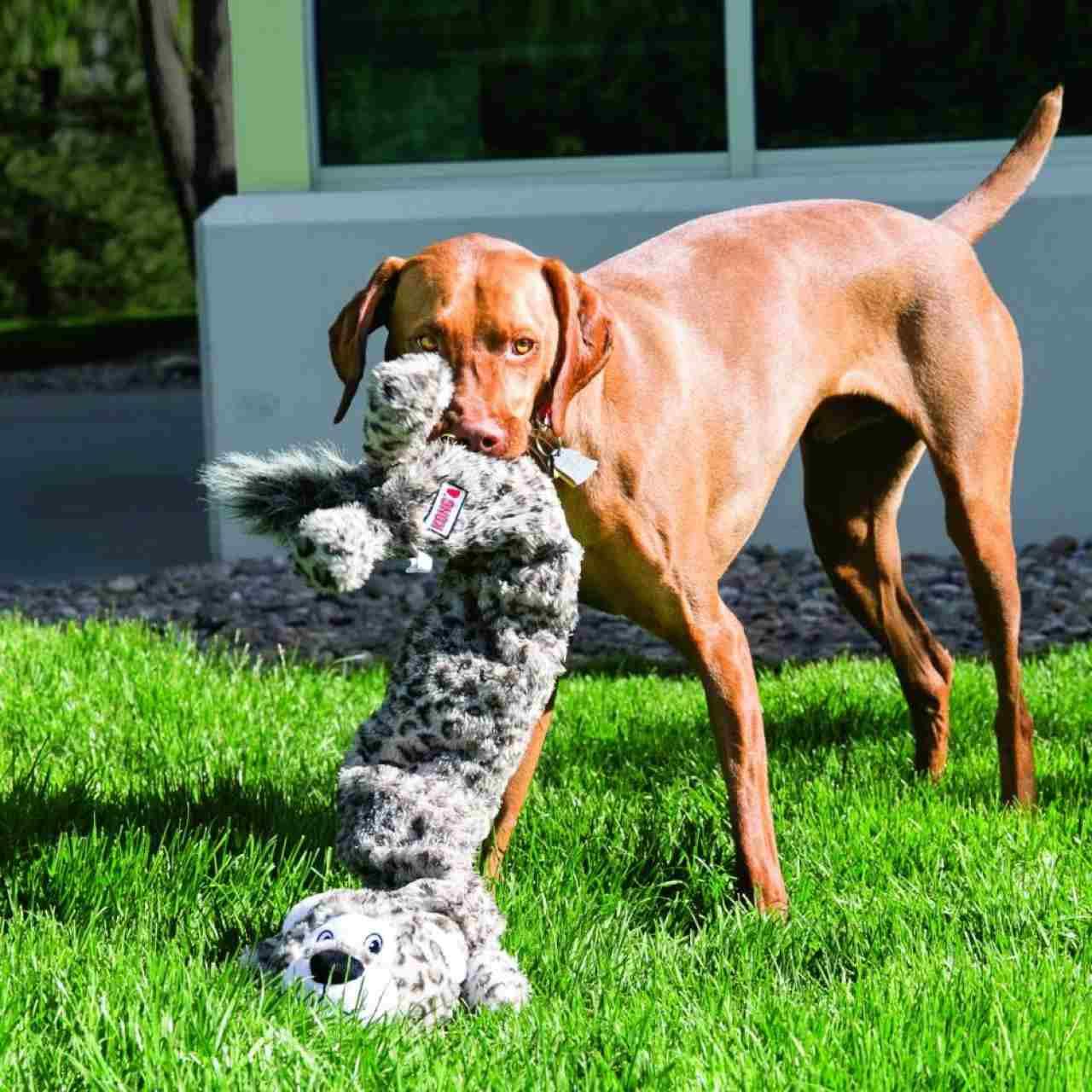 KONG Stretchezz Jumbo Snow Leopard for Dog Toy – Pet Supermarket