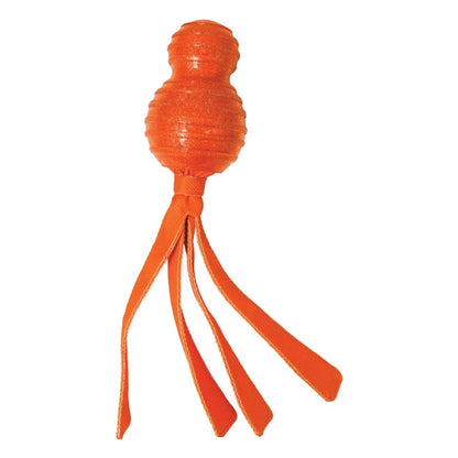 KONG Wubba Comet Dog Toy
