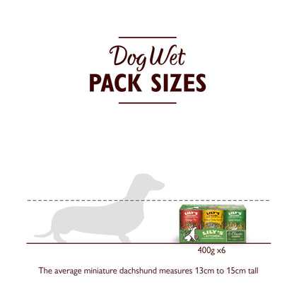 Lily's Kitchen Classic Recipes for Dog Multipack