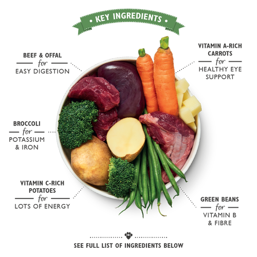 Lily's Kitchen Cottage Pie for Dog