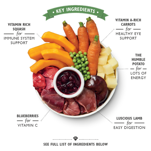 Lily's Kitchen Lamb Hotpot for Dog