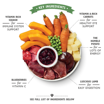 Lily's Kitchen Lamb Hotpot for Dog