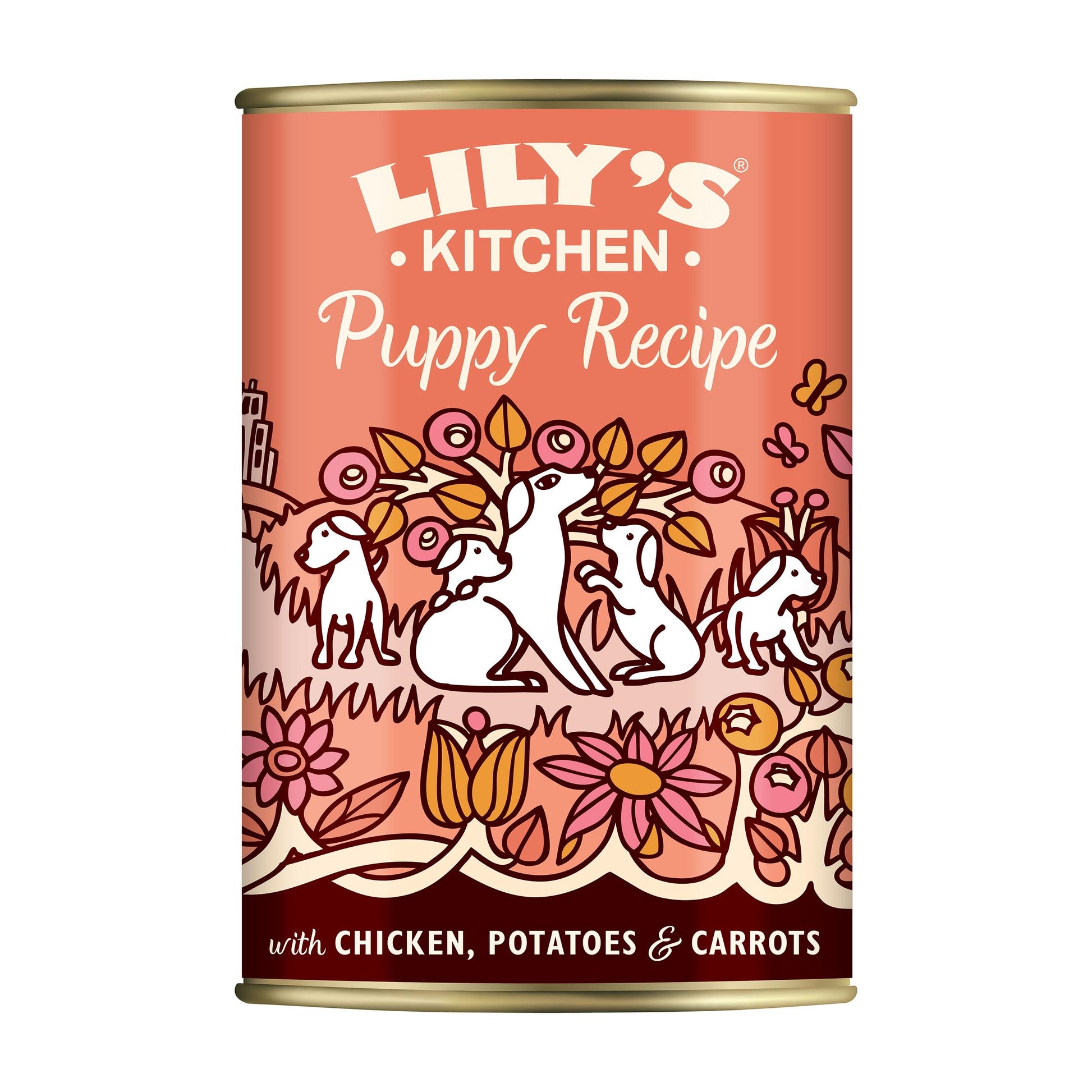 Lily's Kitchen Lily'S Kitchen Carrots Chicken Puppy Dry Dog Food pet food packaging
