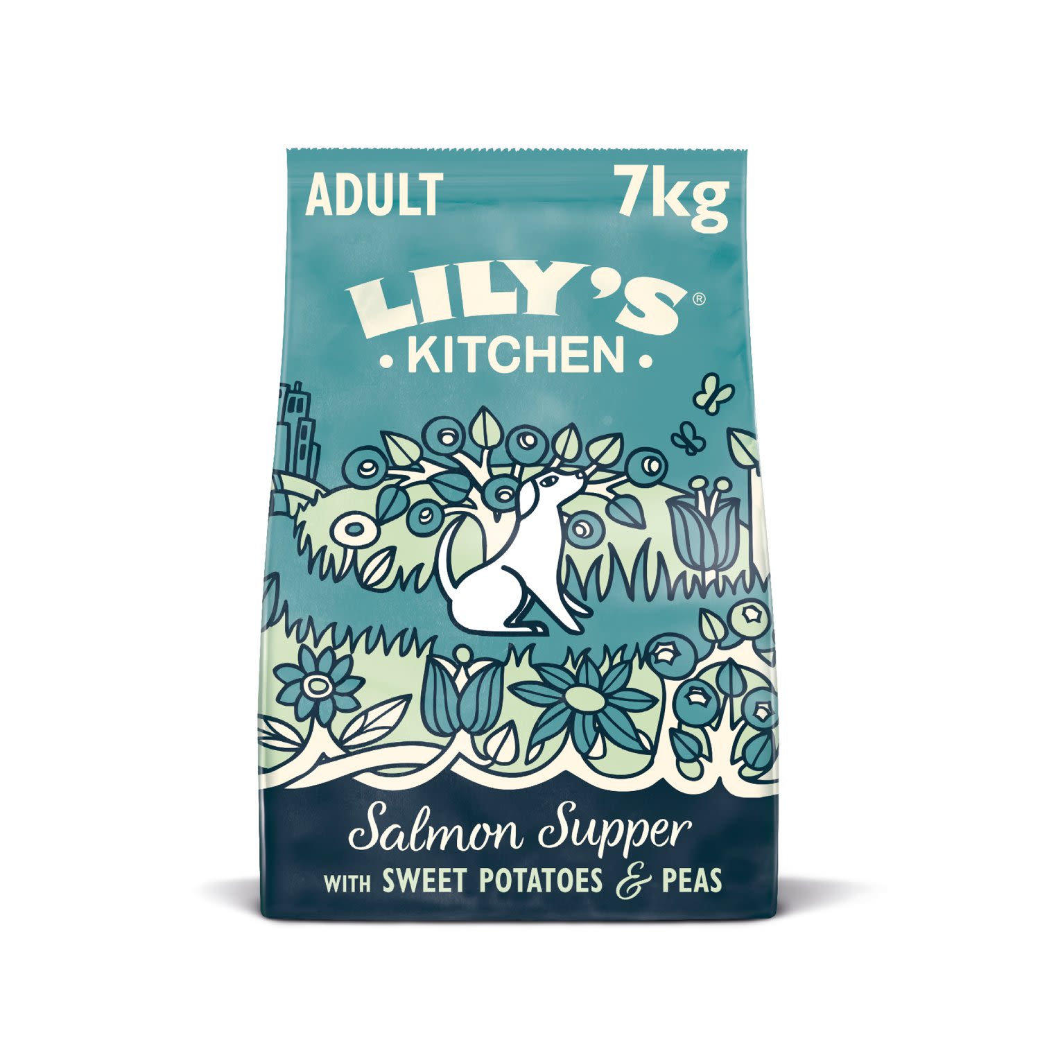 Lily's Kitchen Lily'S Kitchen Salmon Adult Dry Dog Food pet food packaging