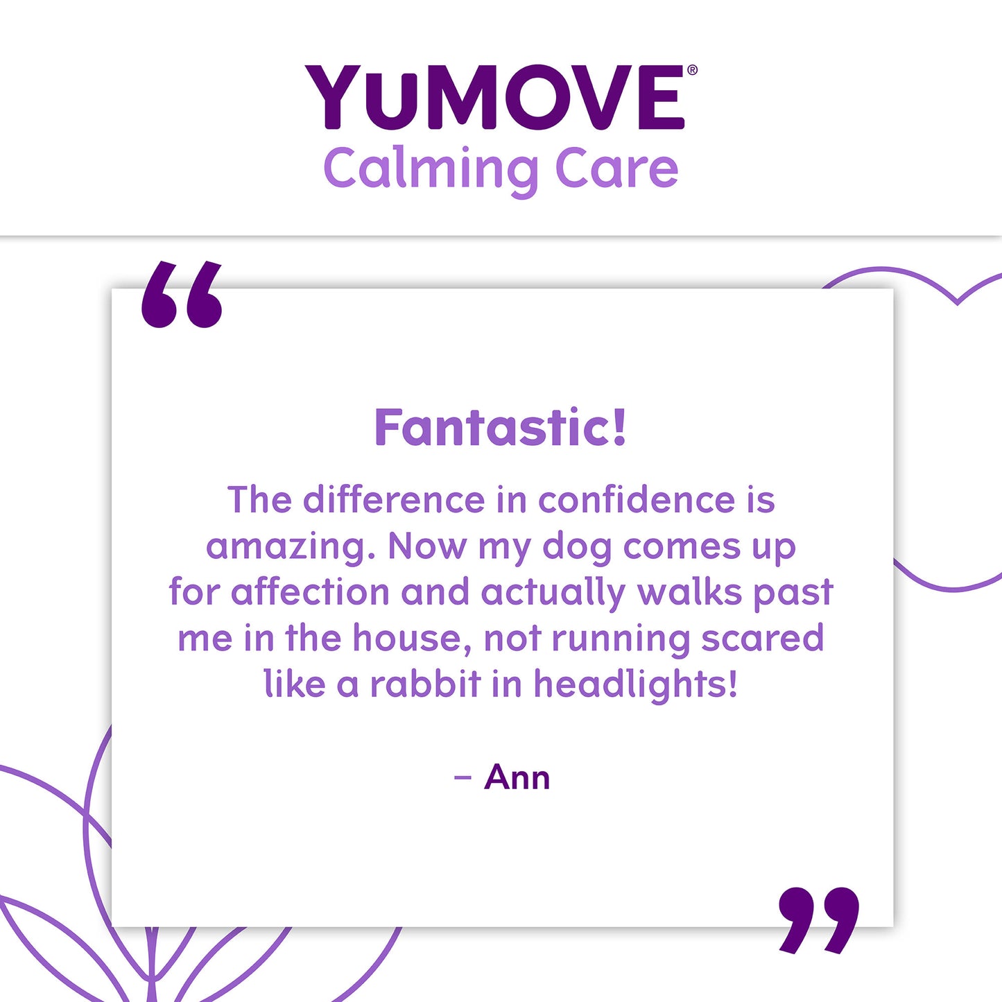 YuMOVE One-A-Day Calming Care Supplement for Small Dogs