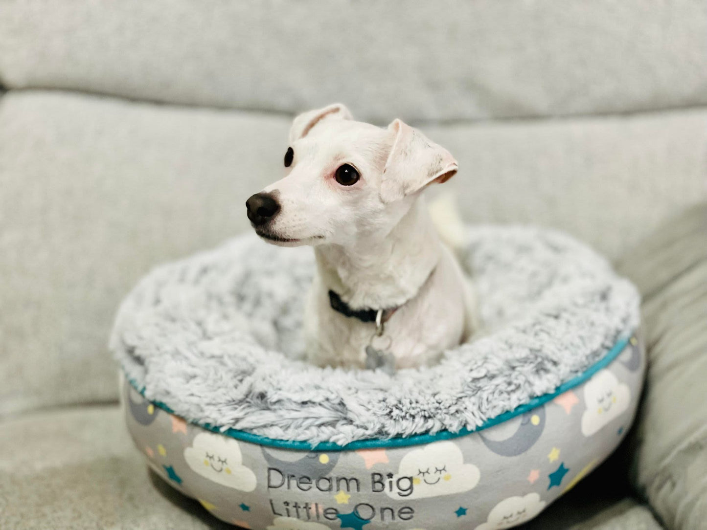 Little Petface Donut Puppy & Kitten Bed