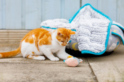 Little Petface Donut Puppy & Kitten Bed