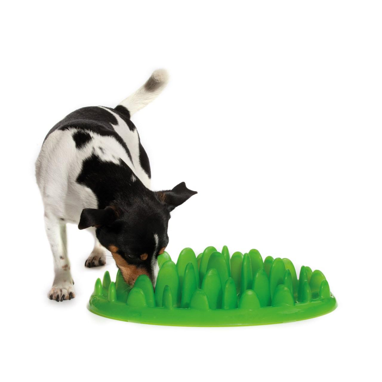 Northmate Green Slow Dog Feeder