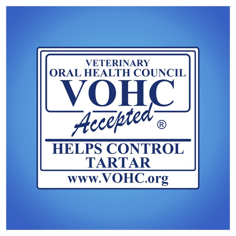 Veterinary Oral Health Council Cats: Ensure Feline Dental Care